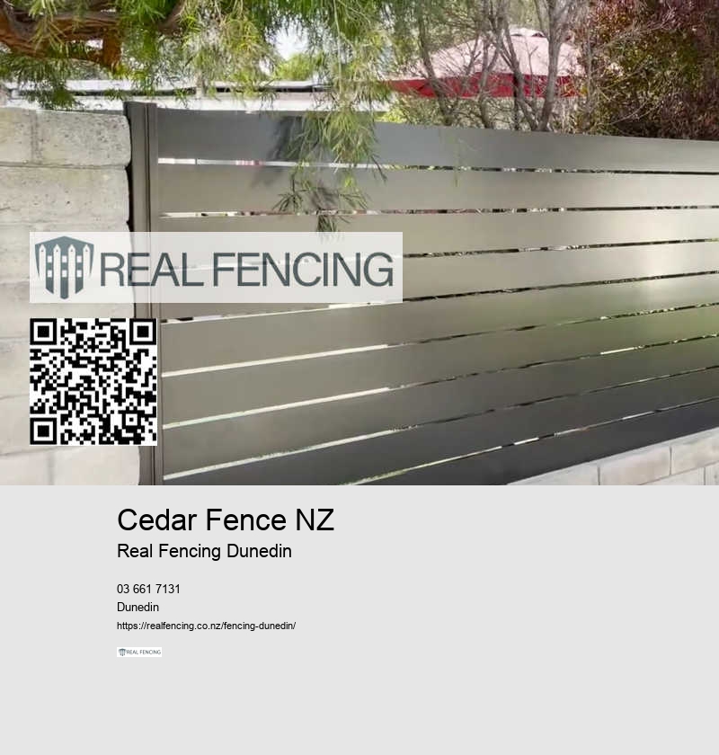 Fence Painting Dunedin