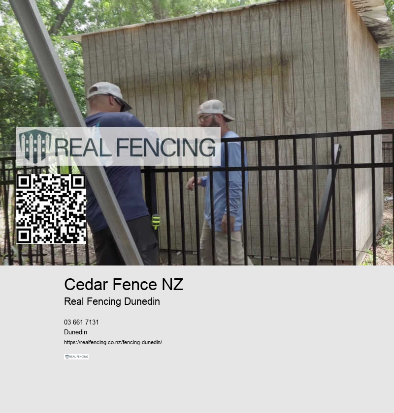 Wood Fence Dunedin