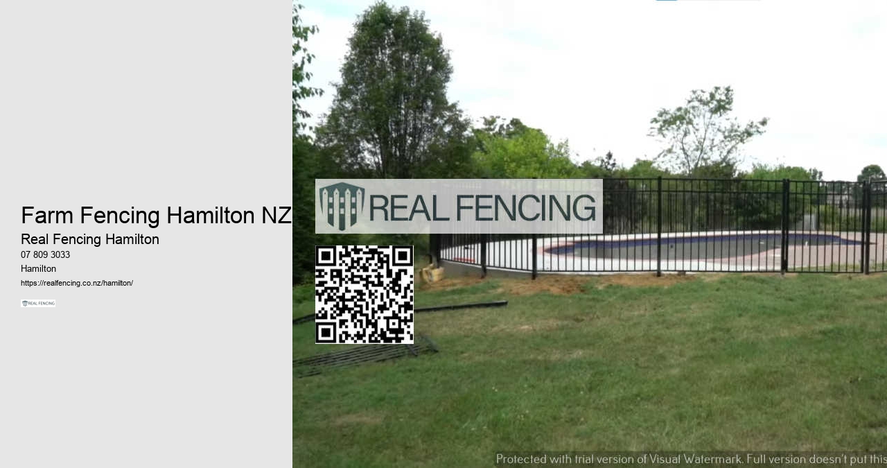 Chainlink Fencing Hamilton