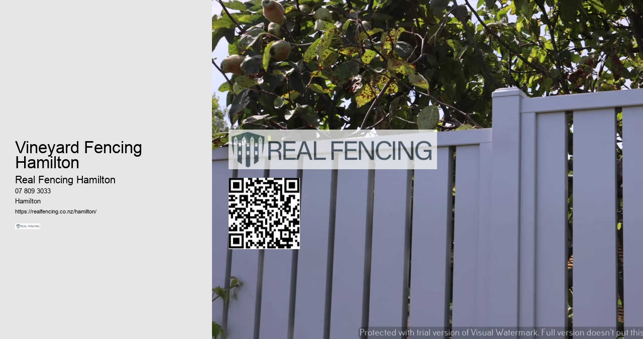 Hidden Dog Fences Hamilton