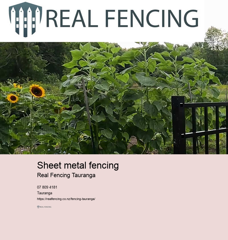 Timber and fencing near me