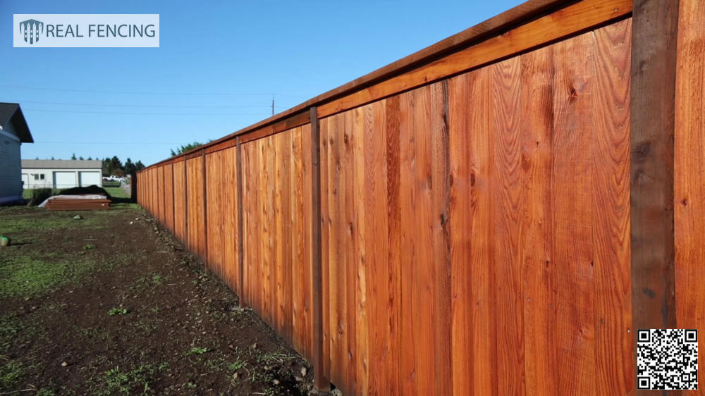 fence painting wellington nz